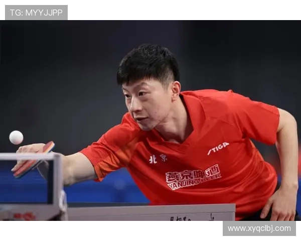 全运会特别报道：北京篮球队如何逆袭夺冠的传奇故事与奋斗历程